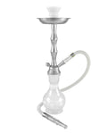 18" Phoenicia (1 Hose)